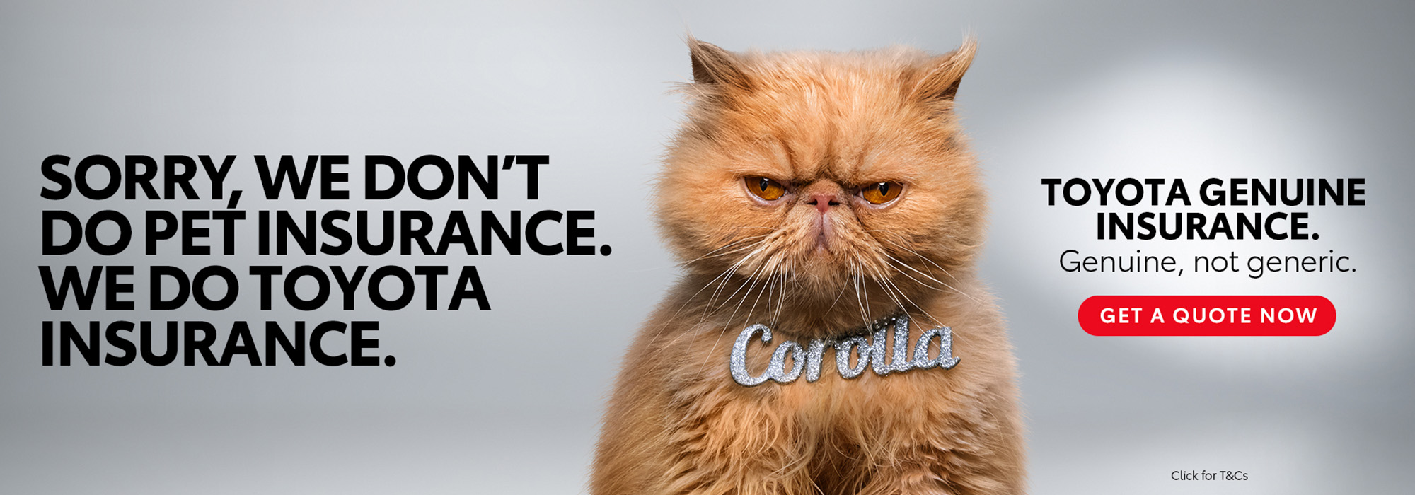 Hp Insurance Nov24 2000x700